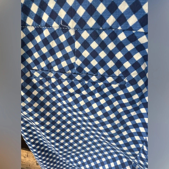 Chico's size 1.5 (Medium/Size 10) pull up pants blue checks - Picture 10 of 11